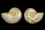 3.8" Cut & Polished Agatized Ammonite Fossil (Pair)- Jurassic - #131743-1